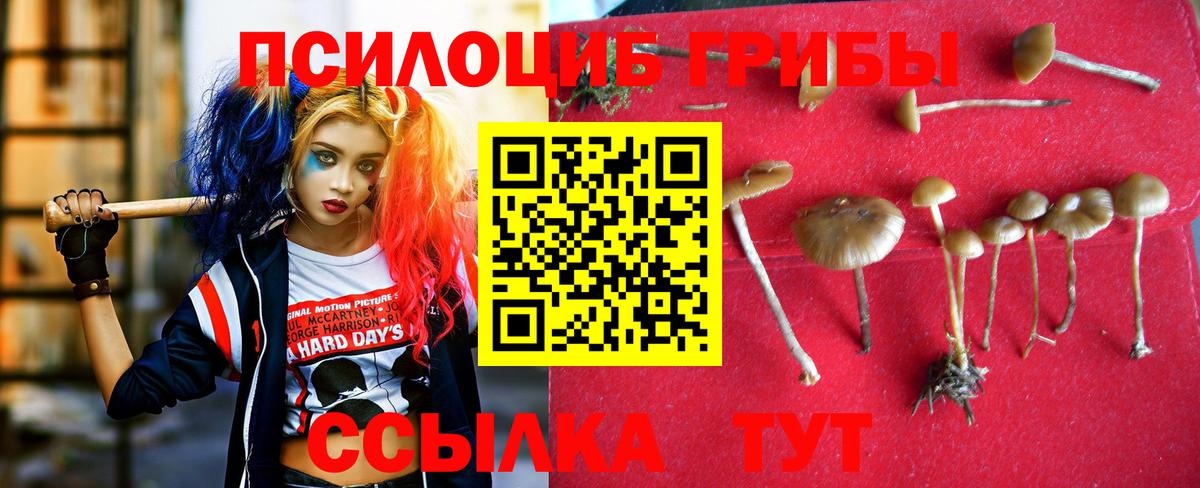Галлюциногенные грибы прущие грибы Алейск